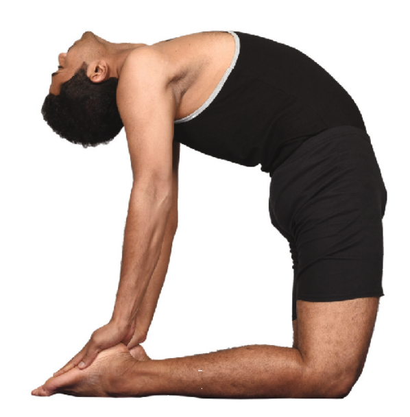 Yoga Asanas 20